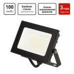 Прожектор светодиод 30Вт 6500К 3000Лм черный призма IP65 СДО PRO LPR-062-0-65K-030 ЭРА