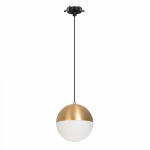 Светильник SP-EMISFERO-HANG-BUILT-R150-11W Warm3000 (GD, 170 deg, 230V) (Arlight, IP20 Металл, 3 года) Светильник SP-EMISFERO-HANG-BUILT-R150-11W Warm3000 (GD, 170 deg, 230V) (Arlight, IP20 Металл, 3 года)