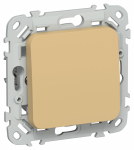 FLITE Выключ. 1-кл. перекр. 10А ВС71-1-0-ФлШм ш/а IEK FLITE Выключ. 1-кл. перекр. 10А ВС71-1-0-ФлШм ш/а IEK