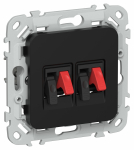 FLITE Роз. 2-я аудио РА-2-ФлЧ чер. IEK