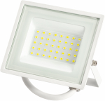 Прожектор светодиод 30Вт 6500К 2400Лм белый IP65 СДО LPR-023-W-65K-030 ЭРА (1/20) Прожектор светодиод 30Вт 6500К 2400Лм белый IP65 СДО LPR-023-W-65K-030 ЭРА (1/20)