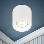 Светильник настенно-потолочный спот ЭРА OL25-1 WH MR16/GU5.3, белый, поворотный Светильник настенно-потолочный спот ЭРА OL25-1 WH MR16/GU5.3, белый, поворотный