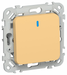 FLITE Выключ. 1-кл. кноп. с инд. 10А ВС11-2-1-ФлЗ зол. IEK FLITE Выключ. 1-кл. кноп. с инд. 10А ВС11-2-1-ФлЗ зол. IEK