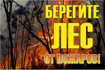 Знак "Берегите лес от огня!" 1200х800 мм EKF Знак "Берегите лес от огня!" 1200х800 мм EKF