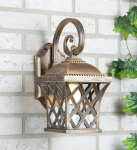 Cassiopeya D черное золото