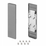 Заглушка SL-LINE-25100-DUAL SILVER глухая (Arlight, Пластик) Заглушка SL-LINE-25100-DUAL SILVER глухая (Arlight, Пластик)