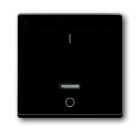 ИК-приёмник с маркировкой "I/O" для 6401 U-10x, 6402 U, серия solo/future, цвет антрацит ИК-приёмник с маркировкой "I/O" для 6401 U-10x, 6402 U, серия solo/future, цвет антрацит