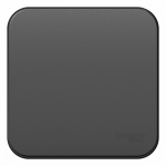 Выключатель 1кл о/у антрацит изол.пл. IP20 Blanca Systeme Electric (1/15) Выключатель 1кл о/у антрацит изол.пл. IP20 Blanca Systeme Electric (1/15)