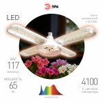 Фитолампа для растений светодиодная ЭРА GREEN LINE ФИТО-65W-PFR-E27-GR 5-ти лепестковая полного спектра 65 Вт Е27 Фитолампа для растений светодиодная ЭРА GREEN LINE ФИТО-65W-PFR-E27-GR 5-ти лепестковая полного спектра 65 Вт Е27