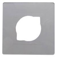 Защита стены под Выключатель прозрачная Беларусь (1/280)