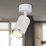 Светильник настенно-потолочный спот ЭРА OL55 WH/SL MR16 GU10 IP20 белый/серебро Светильник настенно-потолочный спот ЭРА OL55 WH/SL MR16 GU10 IP20 белый/серебро