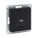 Розетка USB-C - 2шт, чёрный Эпика EKF Розетка USB-C - 2шт, чёрный Эпика EKF