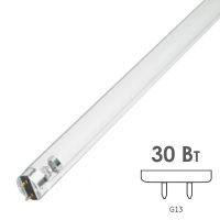 Лампа бактерицидная LightBest LBC 30W T8 G13 895mm специальная безозоновая Лампа бактерицидная LightBest LBC 30W T8 G13 895mm специальная безозоновая