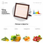 Фитопрожектор для растений светодиодный ЭРА FITO-150W-Ra90-LED полного спектра профессиональный 150 Вт Фитопрожектор для растений светодиодный ЭРА FITO-150W-Ra90-LED полного спектра профессиональный 150 Вт