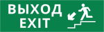 Пиктограмма ДСО-101-IP65-Н "Выход - лестница вниз" Пиктограмма ДСО-101-IP65-Н "Выход - лестница вниз"
