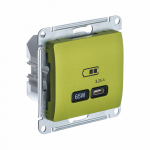 Розетка 1гн USB C с/у фисташковый механизм высокоскор.заряд. QC PD Glossa Systeme Electric