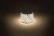 Лента светодиод LS-5050 14,4Вт 60Led 3000К 12В бел IP65 5м LS5050 -14,4-60-12-3000K-IP65-1 year-5m ЭРА (1/80)