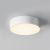 Maytoni Потолочный светильник Zon IP O431CL-L30W3K Maytoni Потолочный светильник Zon IP O431CL-L30W3K