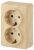 Розетка 2гн с З/К шторки о/у сосна 16А IP20 11-2206-11 Эксперт ЭРА (12/120/1920) Розетка 2гн с З/К шторки о/у сосна 16А IP20 11-2206-11 Эксперт ЭРА (12/120/1920)
