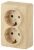 Розетка 2гн с З/К о/у сосна 16А IP20 11-2205-11 Эксперт ЭРА (1/12/120)