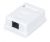 WRline Розетка компьютерная RJ-45, категория 5e, неэкранированная, одинарная, внешняя, Dual IDC, цвет белый