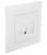 GUSI Bravo Розетка телефонная RJ12, двойная, скрытая установка, с одноместной рамкой С1010-001. Цвет белый. GUSI Bravo Розетка телефонная RJ12, двойная, скрытая установка, с одноместной рамкой С1010-001. Цвет белый.