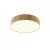 Zon Потолочный светильник C032CL-36W3K-RD-MG Zon Потолочный светильник C032CL-36W3K-RD-MG