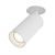 Maytoni Ceiling & Wall Потолочный светильник Белый C037CL-01W