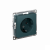 Розетка 1гн с З/К шторки с/у изумруд механизм 16А AtlasDesign Systeme Electric Розетка 1гн с З/К шторки с/у изумруд механизм 16А AtlasDesign Systeme Electric