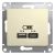 Розетка 2гн USB+USB typeА+ typeС с/у крем механизм 5В/2,4А 2х5В/1,2А Glossa Systeme Electric (1) Розетка 2гн USB+USB typeА+ typeС с/у крем механизм 5В/2,4А 2х5В/1,2А Glossa Systeme Electric (1)