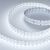 Лента RT-A140-20mm 24V White6000 (22 W/m, IP20, 2835, 4.7m) (arlight, Открытый) Лента RT-A140-20mm 24V White6000 (22 W/m, IP20, 2835, 4.7m) (arlight, Открытый)