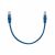 Патч-корд U/UTP REXANT категория 5e, RJ45-RJ45, неэкранированный, 26AWG, LSZH, синий, 0.3 м