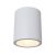 Потолочный светильник Conik gyps GU10 1x30Вт Потолочный светильник Conik gyps GU10 1x30Вт