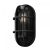 Настенный светильник (бра) Outdoor O449WL-01GF1 Настенный светильник (бра) Outdoor O449WL-01GF1