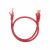 Патч-корд U/UTP REXANT категория 6, RJ45-RJ45, неэкранированный, 26AWG, LSZH, красный, 0.5 м