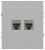 Розетка ЭРА Arktik 16-3108-03 информационная двойная 2XRJ45 алюминий