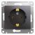 Розетка 1гн с З/К с/у графит механизм 16А Glossa Systeme Electric (1/20/160) Розетка 1гн с З/К с/у графит механизм 16А Glossa Systeme Electric (1/20/160)