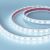 Лента герметичная RTW-PFS-B60-13mm 12V Cool 10K (14.4 W/m, IP68, 5060, 5m) (Arlight, 14.4 Вт/м, IP68)