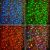 Гирлянда "Светодиодный Дождь" 2х1,5м, прозрачный провод, 230 В, диоды RGB, свечение с динамикой при приобитении контроллера 245-907 Гирлянда "Светодиодный Дождь" 2х1,5м, прозрачный провод, 230 В, диоды RGB, свечение с динамикой при приобитении контроллера 245-907