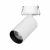 Светильник SP-GABI-BUILT-FLAP-R50-9W Day4000 (WH, 60 deg, 230V) (Arlight, IP40 Металл, 5 лет)