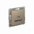 Розетка 2гн USB+USB с/у шампань механизм AtlasDesign Systeme Electric (1) Розетка 2гн USB+USB с/у шампань механизм AtlasDesign Systeme Electric (1)