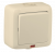 Выкл 1-клавиш. с подсветкой LED в сборе 16А 250В о/у бежевый глянц. IP44 HEGEL Выкл 1-клавиш. с подсветкой LED в сборе 16А 250В о/у бежевый глянц. IP44 HEGEL